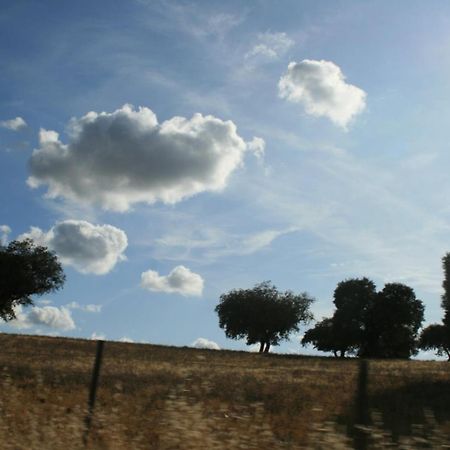 Herdade Do Monte Outeiro - Turismo Rural Venda  Екстериор снимка