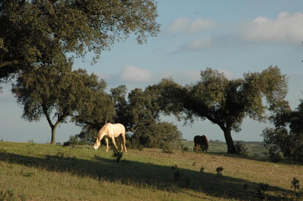 Herdade Do Monte Outeiro - Turismo Rural Venda  Екстериор снимка