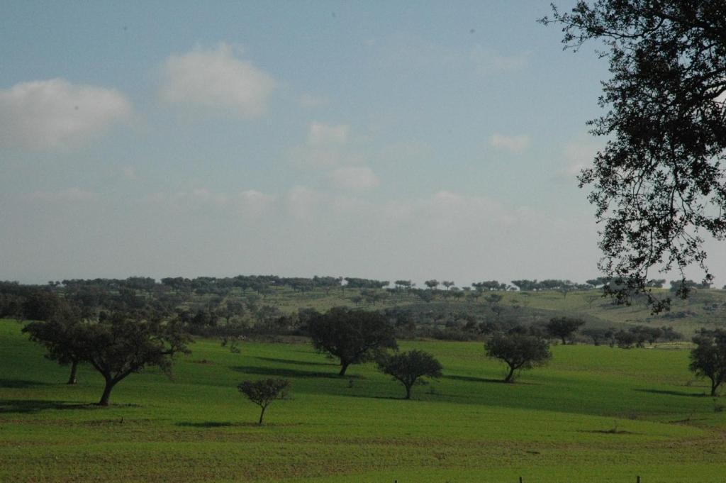 Herdade Do Monte Outeiro - Turismo Rural Venda  Екстериор снимка