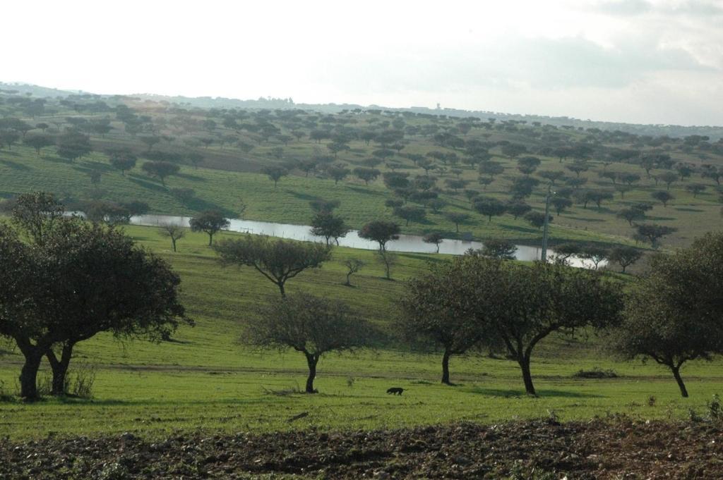 Herdade Do Monte Outeiro - Turismo Rural Venda  Екстериор снимка